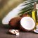 Cosmetics with coconut oil